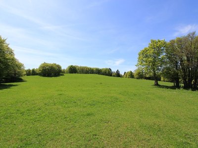 Balade au calme, à travers les pâturages