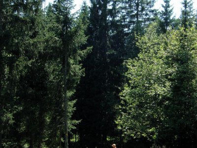 Encore quelques mètres, et la glacière sera devant vous