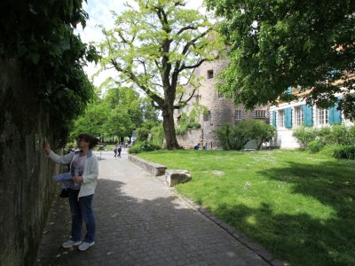 Le Tilleul, derrière le château. Au mur, un QR code à scanner