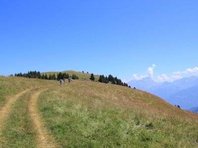 Sur le chemin du retour