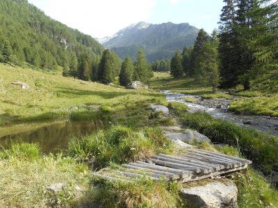 Sentier pieds nus 
Siviez 4