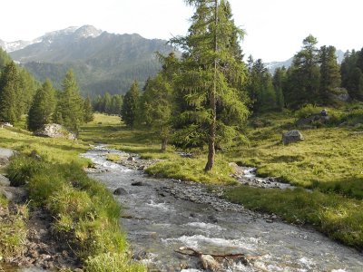 Sentier pieds-nus Siviez 5