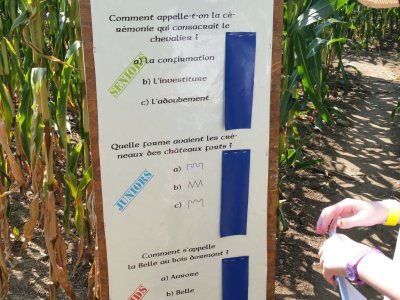 Les réponses à ces questions donnent une direction à suivre