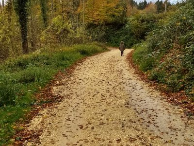 Le début de parcours