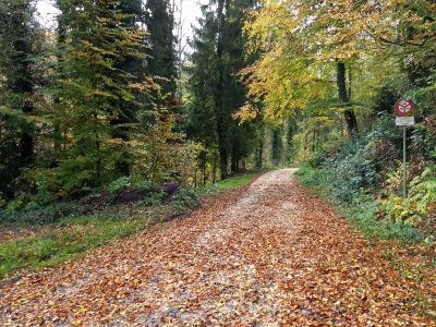 Le chemin