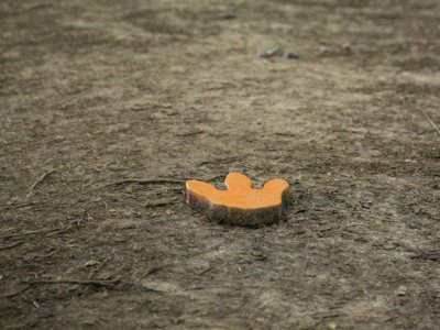 traces en bois...