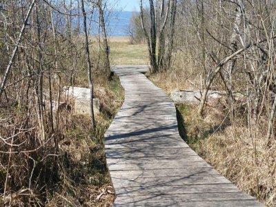 Le long du sentier-nature