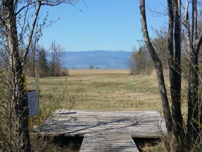 Vue sur le Jura