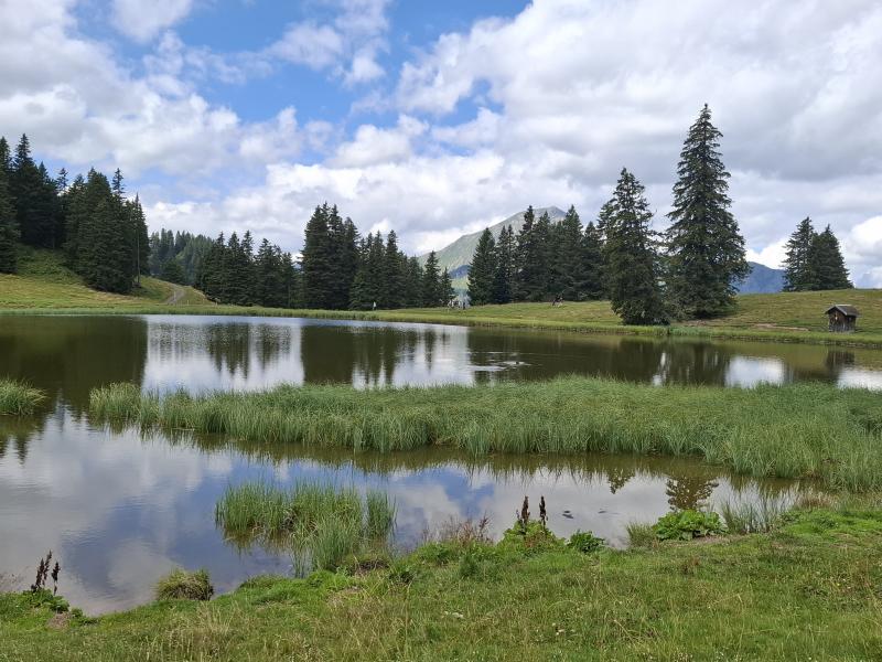 Lac de Conche