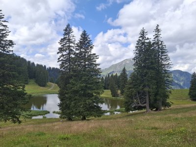 Le lac de Conche