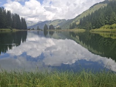 La Mouille