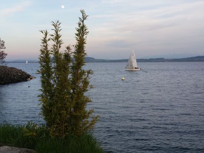 Le lac de Neuchâtel