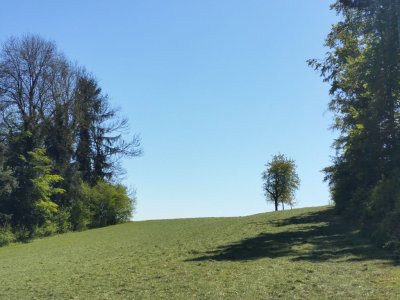 Le long du sentier évitant le stand de tir