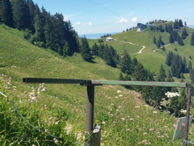 La fin du sentier botanique