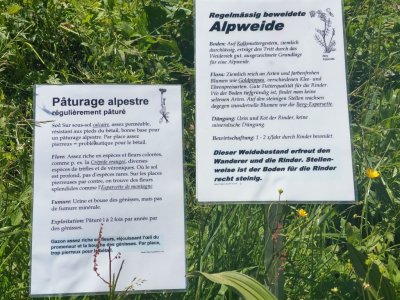 Panneau didactique le long du sentier botanique