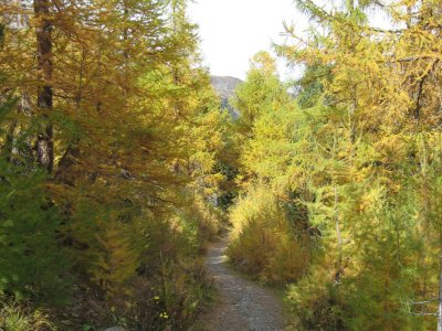  Le sentier final