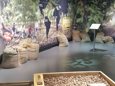 Les matières premières pour faire du chocolat