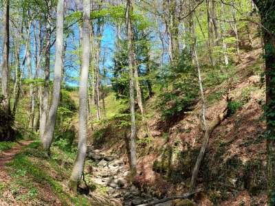 Les gorges