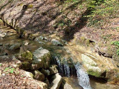 La rivière