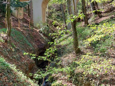 Les gorges de la Vaux, en arrivant sous le pont des polonais