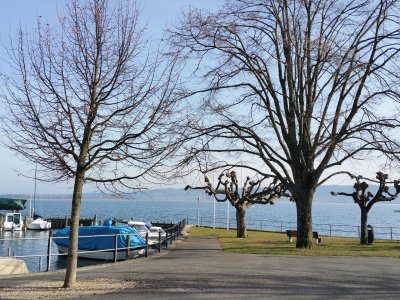 <p>Le port</p>