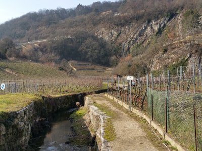 <p>Début du chemin de la cascade</p>