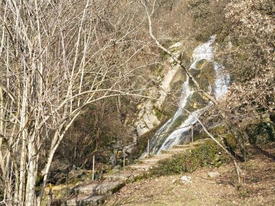 <p>Cascade</p>