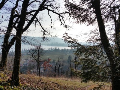 <p>Vue en montant de chemin de la Cascade</p>