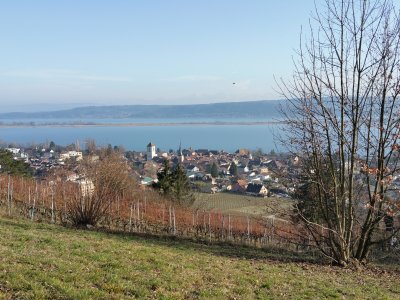 <p>Vue depuis le chemin des Blanchardes</p>