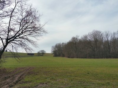 A découvert