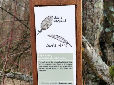 Panneau explicatif