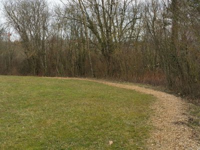 Le sentier des lianes