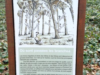 <p>Panneau didactique</p>