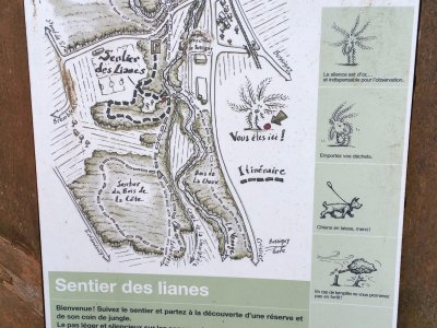 Plan du sentier des lianes
