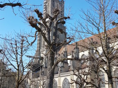 La place de la cathédrale