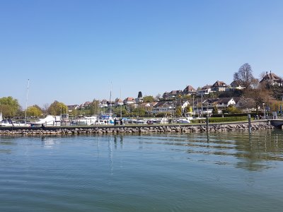 Le port de Morat