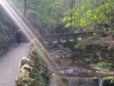 <p>Rayon de soleil dans la montée des gorges</p>