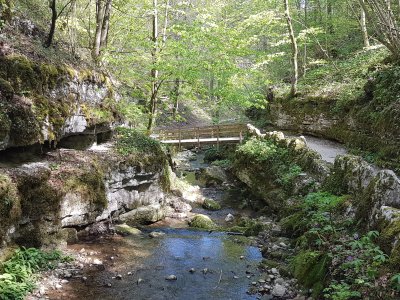 Chemin agréable dans la forêt, le long de la rivière