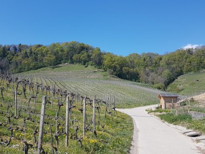 Au départ de la balade