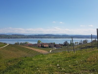 Après la première montée, la vue est magnifique