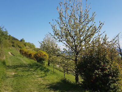 Vers la fin de la balade