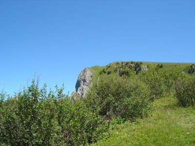 Quelque part le long du sentier...