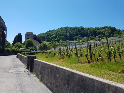 <p>Au départ de la balade, entre le 1er et 2e panneau</p>