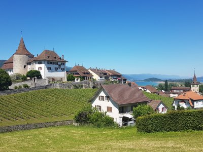 <p>Le château d'Erlach</p>