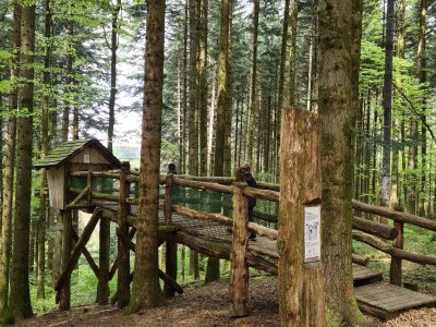 Le nichoir géant sur le sentier 'A tire d'ailes'
