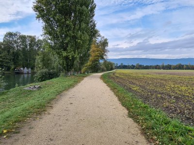 <p>Route conduisant à la réserve du Fanel</p>