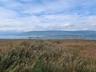 <p>Vue depuis la plate-forme d'observation du Fanel</p>