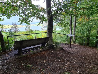 <p>Joli point de vue</p>