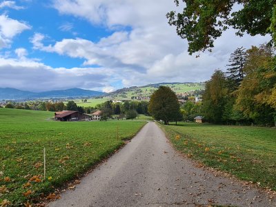 <p>Retour par la route goudronnée</p>