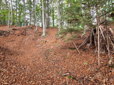Le sommet de la Joux d'Everdes, lieu où se situait le Château d'Everdes